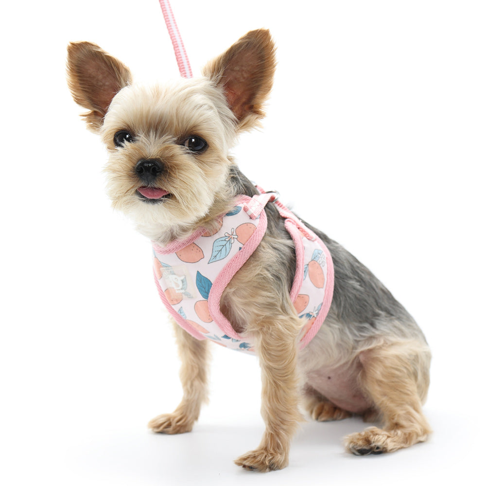 DOGO EasyGO Lemon Dog Harness and Leash Set