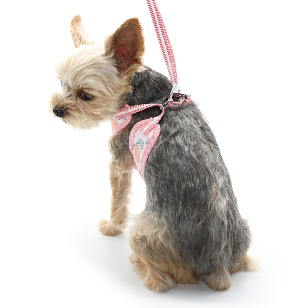 DOGO EasyGO Lemon Dog Harness and Leash Set