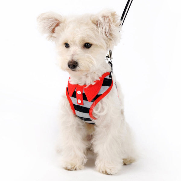 DOGO EasyGO Polo Dog Harness and Leash Set