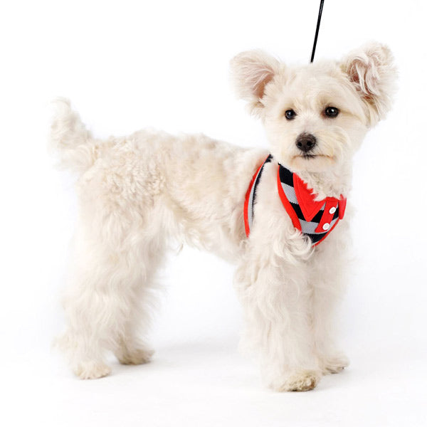 DOGO EasyGO Polo Dog Harness and Leash Set