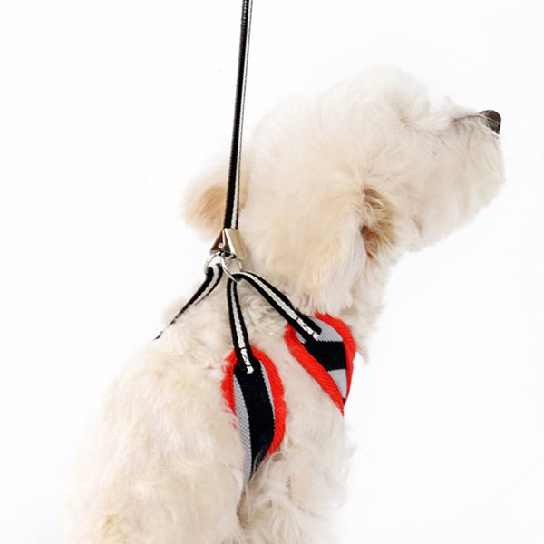 DOGO EasyGO Polo Dog Harness and Leash Set