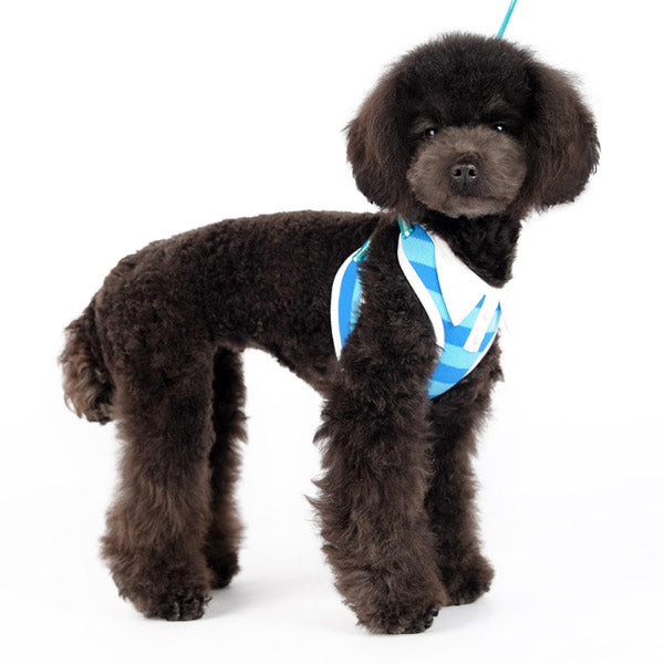 DOGO EasyGO Polo Dog Harness and Leash Set