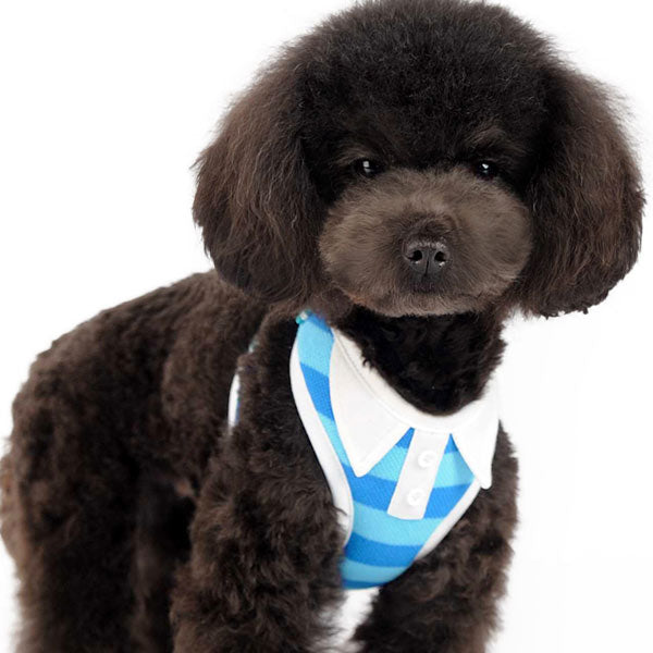 DOGO EasyGO Polo Dog Harness and Leash Set