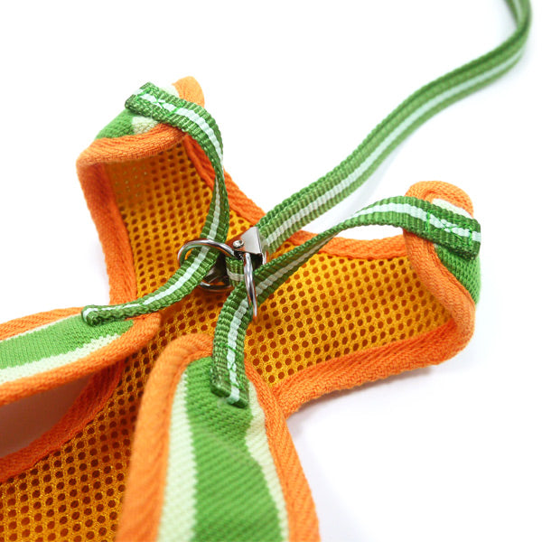 DOGO EasyGO Polo Dog Harness and Leash Set