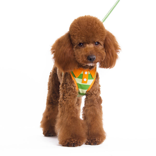 DOGO EasyGO Polo Dog Harness and Leash Set