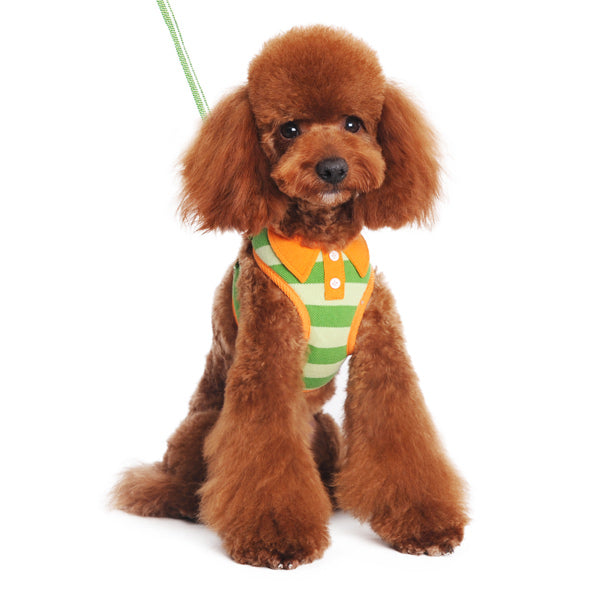 DOGO EasyGO Polo Dog Harness and Leash Set