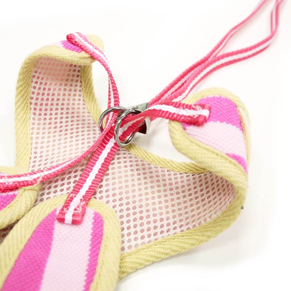 DOGO EasyGO Polo Dog Harness and Leash Set