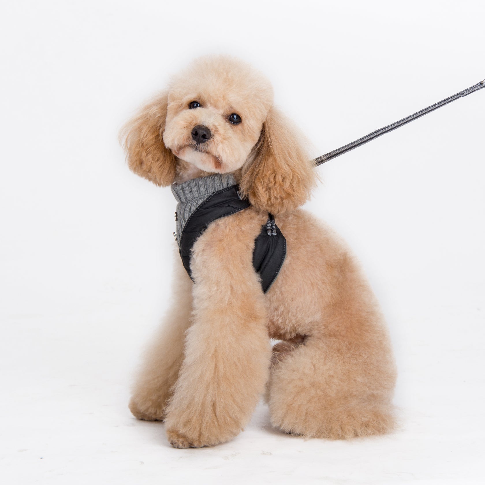 DOGO EasyGO Puffer Dog Harness and Leash Set