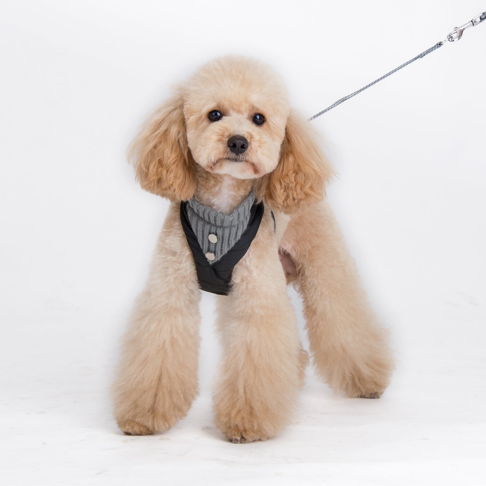 DOGO EasyGO Puffer Dog Harness and Leash Set