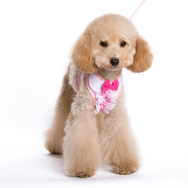 DOGO EasyGO Ruffle Dog Harness and Leash Set