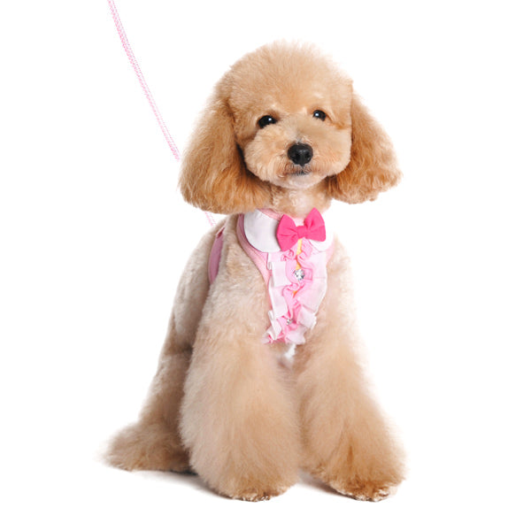 DOGO EasyGO Ruffle Dog Harness and Leash Set