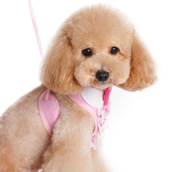 DOGO EasyGO Ruffle Dog Harness and Leash Set