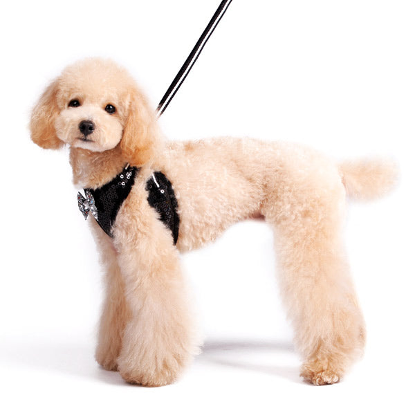 DOGO EasyGO Sequin Dog Harness and Leash Set