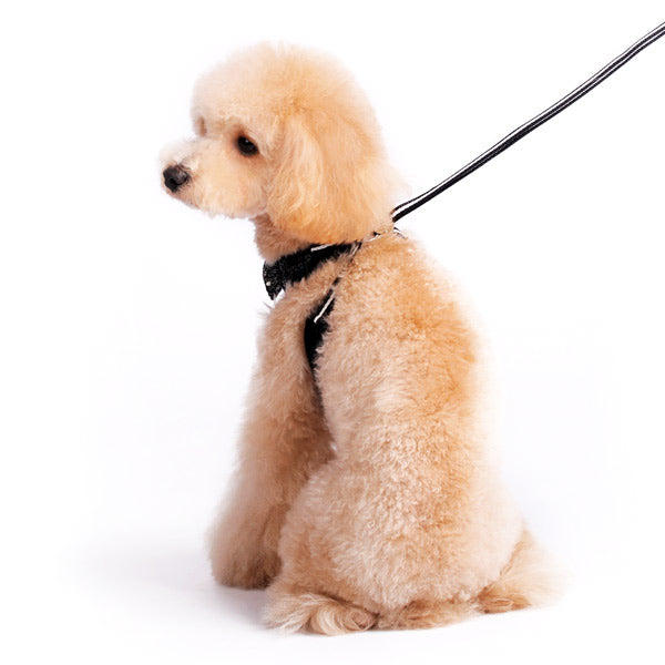 DOGO EasyGO Sequin Dog Harness and Leash Set