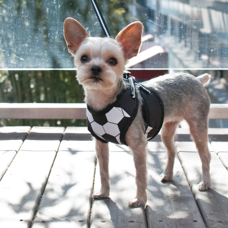 DOGO EasyGO Soccer Dog Harness and Leash Set