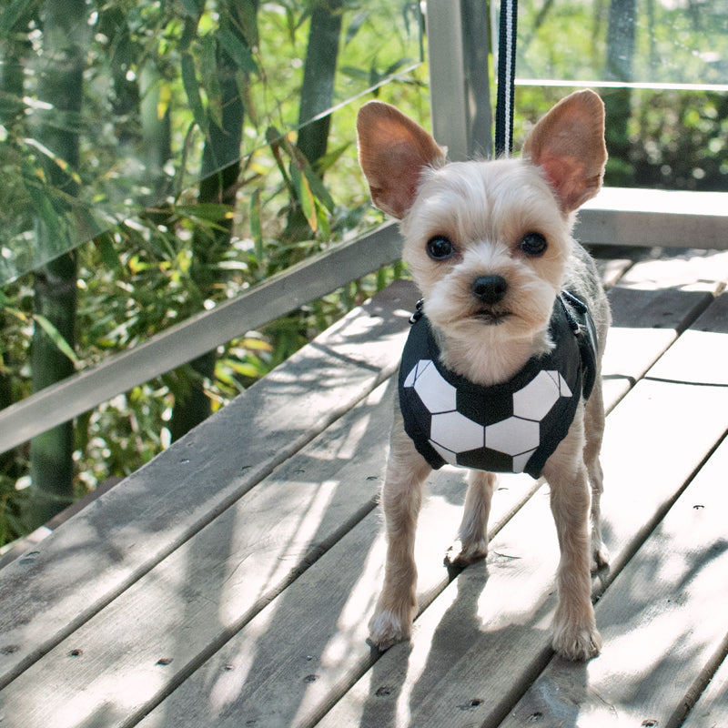 DOGO EasyGO Soccer Dog Harness and Leash Set