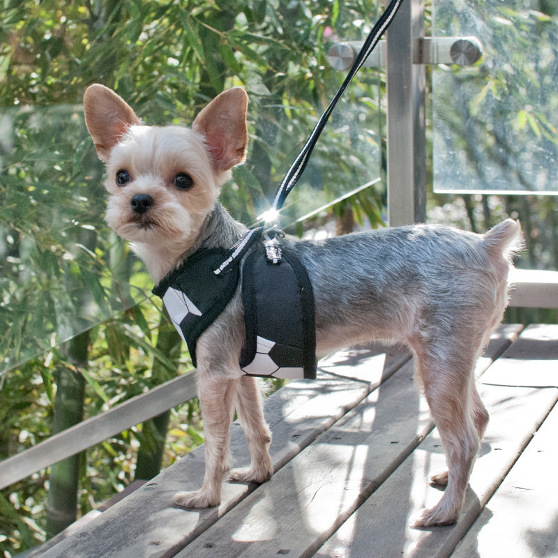 DOGO EasyGO Soccer Dog Harness and Leash Set