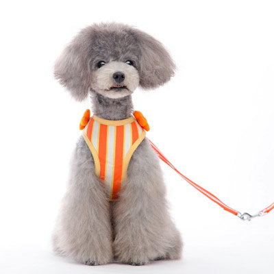DOGO EasyGO Sweet Flower Dog Harness and Leash Set