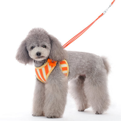 DOGO EasyGO Sweet Flower Dog Harness and Leash Set