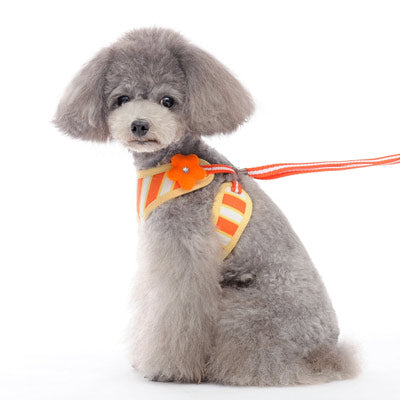 DOGO EasyGO Sweet Flower Dog Harness and Leash Set