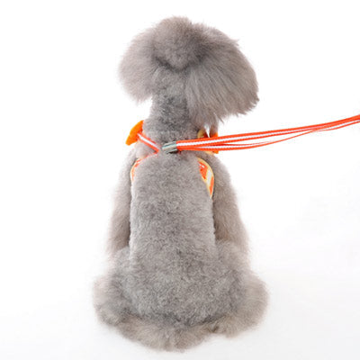 DOGO EasyGO Sweet Flower Dog Harness and Leash Set