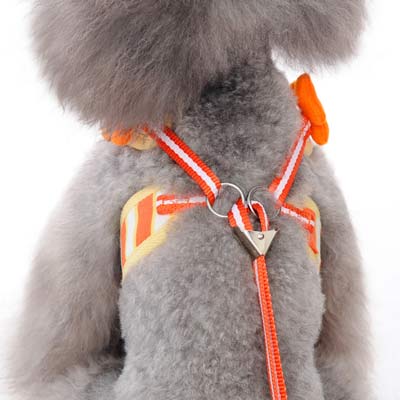 DOGO EasyGO Sweet Flower Dog Harness and Leash Set