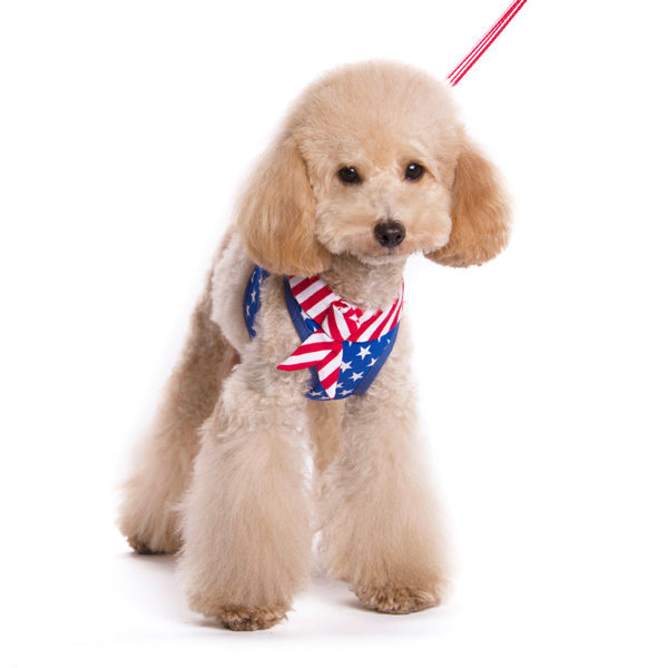 DOGO EasyGO USA Dog Harness and Leash Set