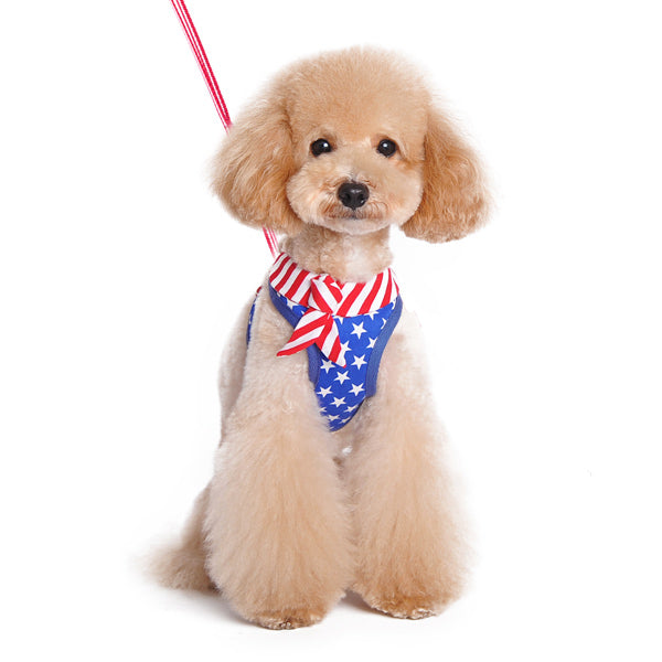DOGO EasyGO USA Dog Harness and Leash Set