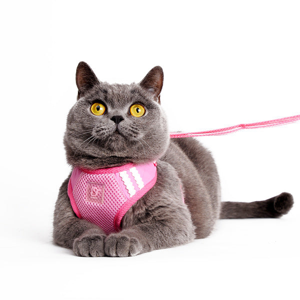 DOGO EasyGO Basic Dog Harness and Leash Set