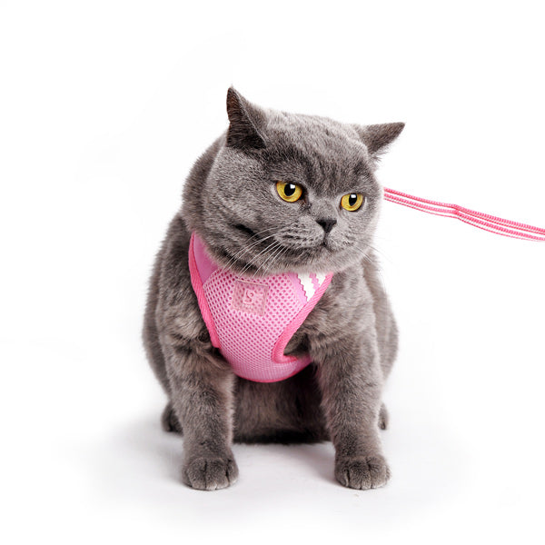 DOGO EasyGO Basic Dog Harness and Leash Set