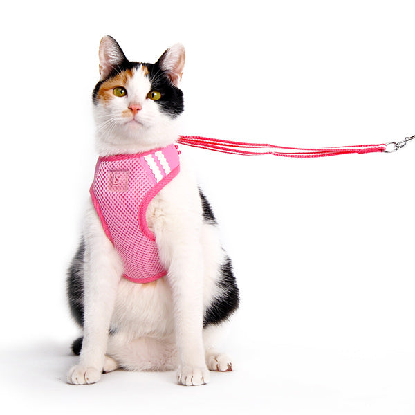 DOGO EasyGO Basic Dog Harness and Leash Set