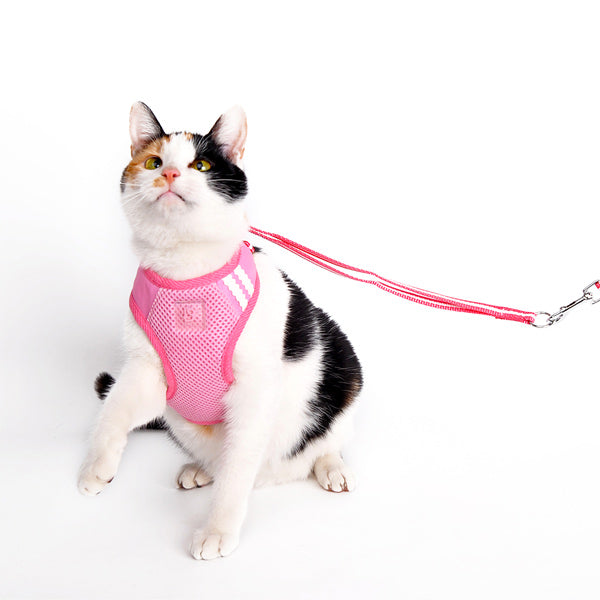 DOGO EasyGO Basic Dog Harness and Leash Set