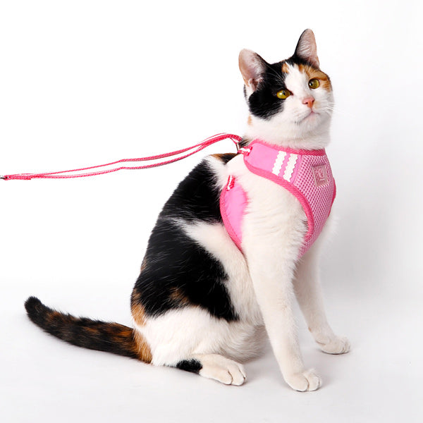 DOGO EasyGO Basic Dog Harness and Leash Set