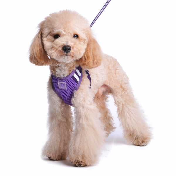 DOGO EasyGO Basic Dog Harness and Leash Set