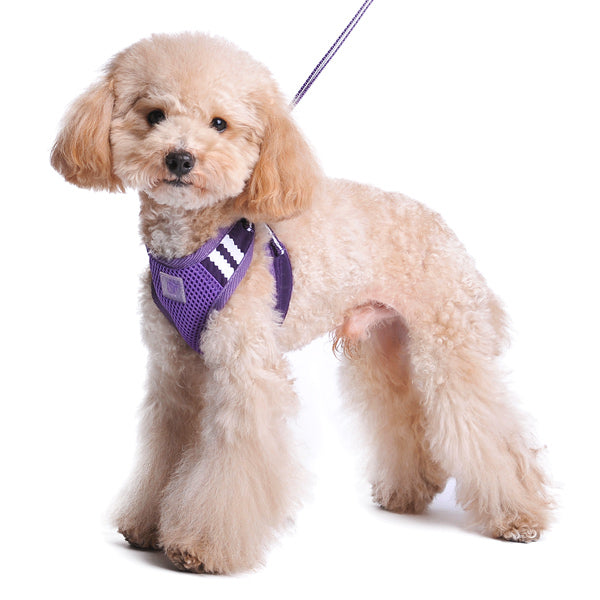 DOGO EasyGO Basic Dog Harness and Leash Set