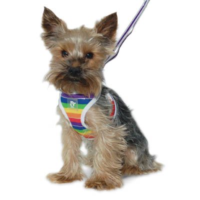 DOGO EasyGO Rainbow Dog Harness and Leash Set