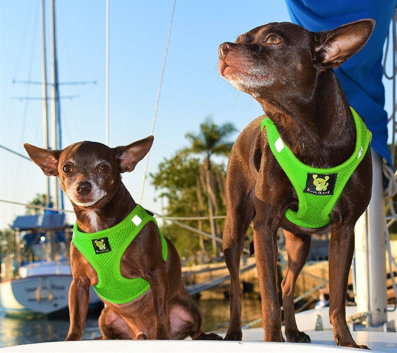 EcoBark – Lime Green Reflective Step-In Dog Harness