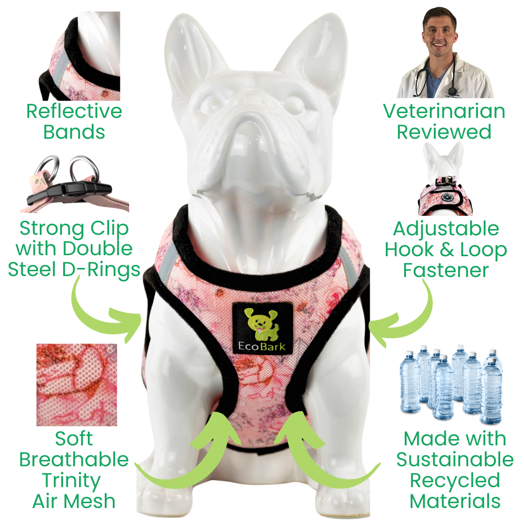 EcoBark – French Floral Reflective Step-In Dog Harness