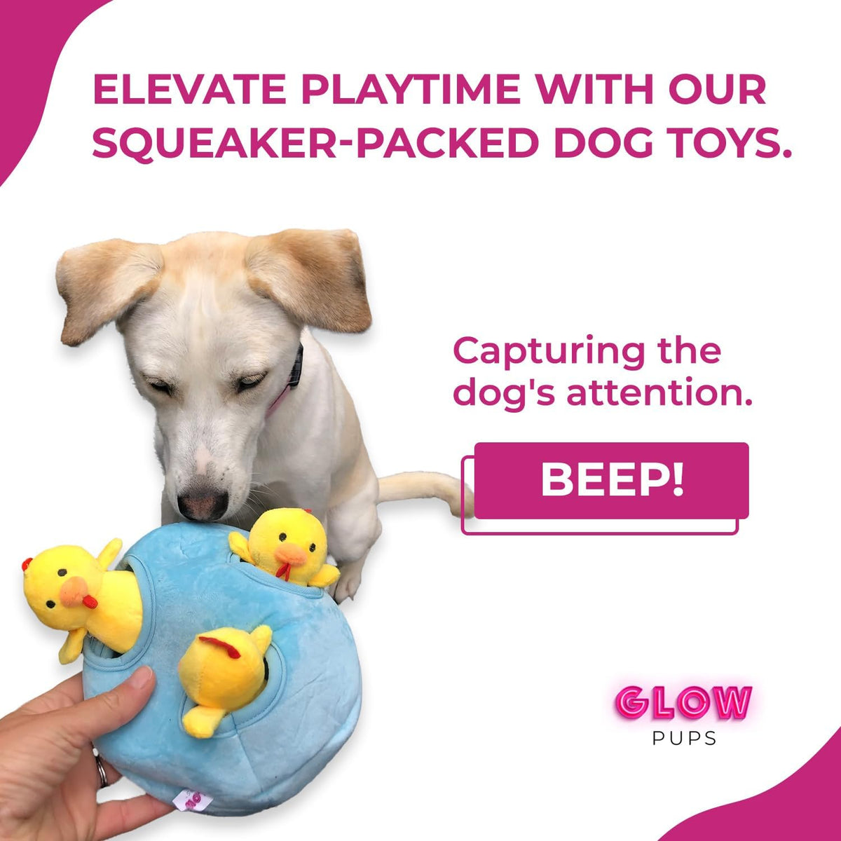 Glow Pups: Chicken in Egg Hide and Seek Plush Dog Toy Set