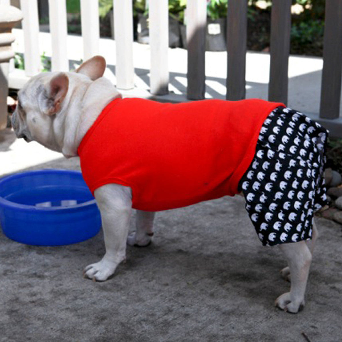 Boxer Shorts for Dogs - Elephant