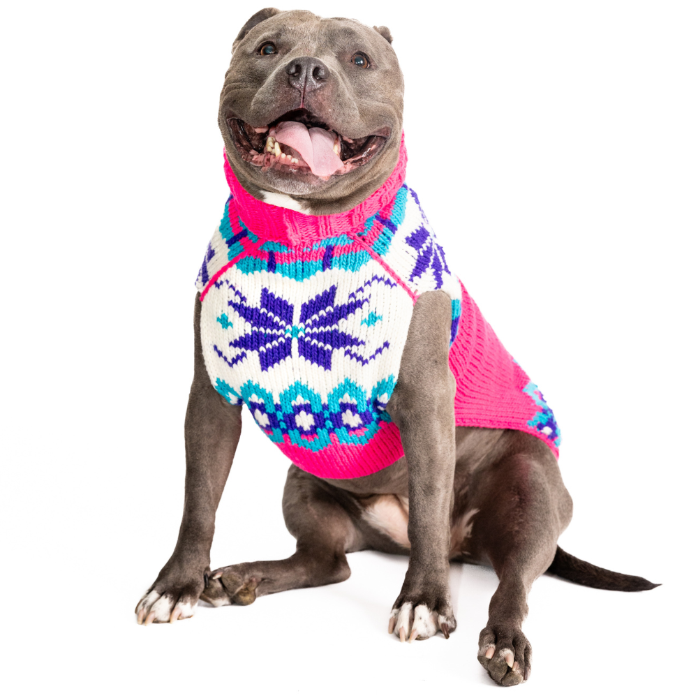 Chilly Dog Elsa Wool Dog Sweater