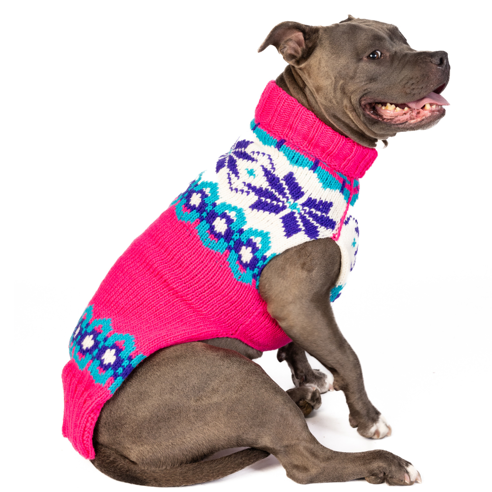 Chilly Dog Elsa Wool Dog Sweater