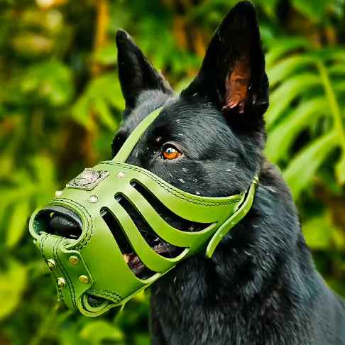 Bestia Eros Basket Green Leather Dog Muzzle