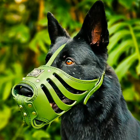 Eros Basket Muzzle GREEN