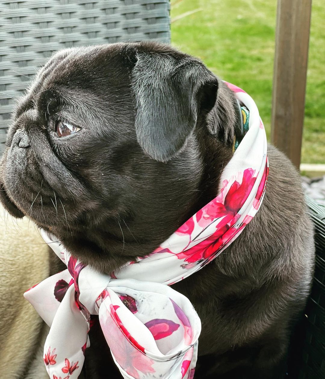 Enchanted Garden Cotton Bandana