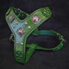 Bestia Dog Gear Genuine Leather Dog Harness - Green/M