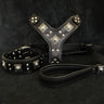 "EROS" BIG dog SET- Harness - collar - lead. All Black
