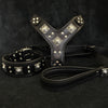 Bestia Dog Gear Genuine Leather Dog Collar - Black