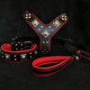Bestia Dog Gear Genuine Leather Dog Collar - Black