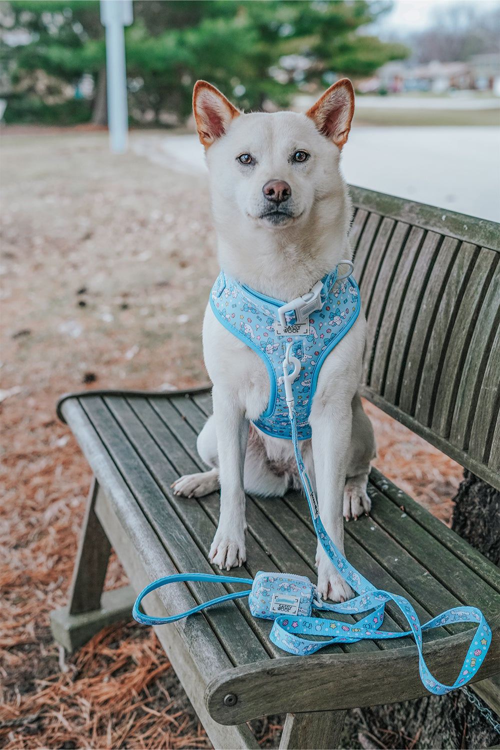 Dog Adjustable Harness - Cinnamoroll™